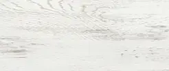 Ель Альпийская