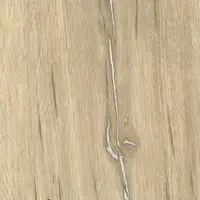 Дуб мехико